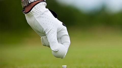 Golf Login